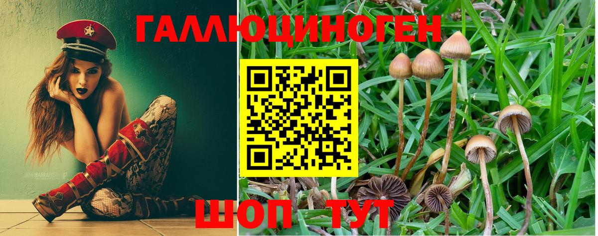 Псилоцибиновые грибы мухоморы Вичуга